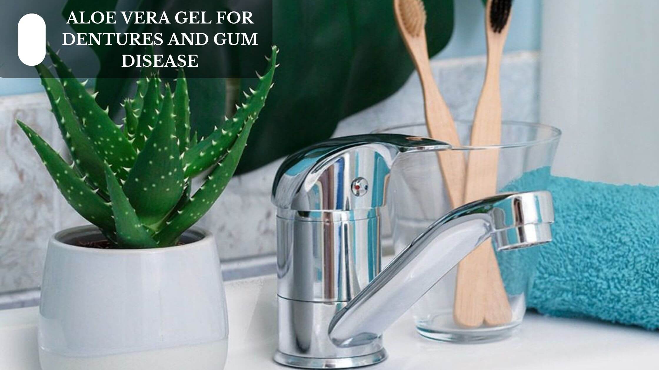 Aloe Vera Gel For Dentures And Gum Disease Moksha Lifestyle Products