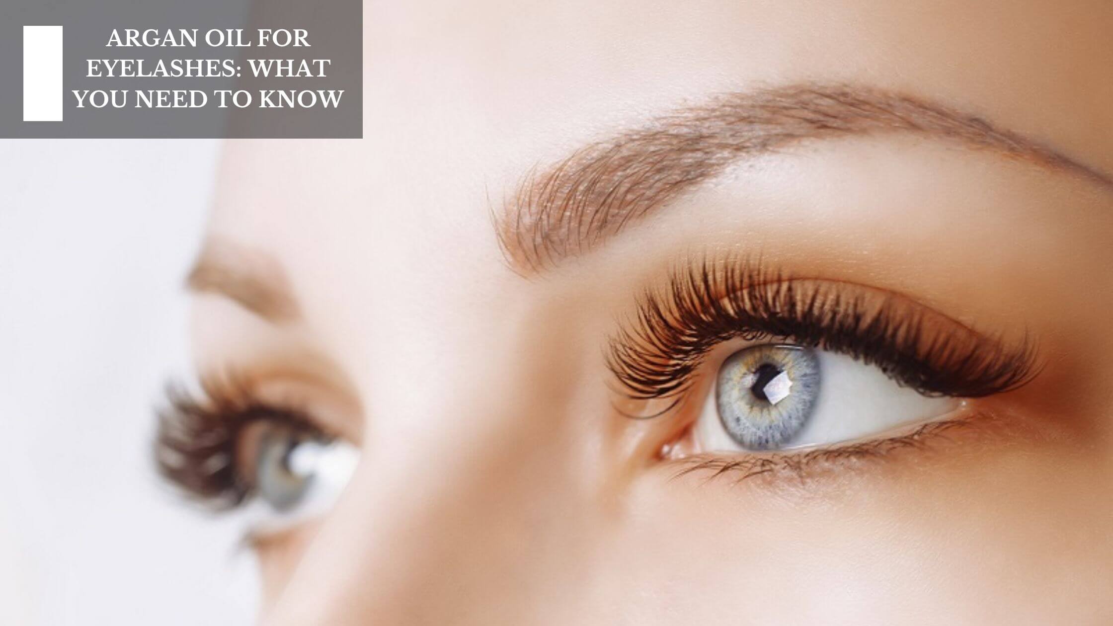 Argan Oil For Eyelashes: What You Need To Know – Moksha Lifestyle