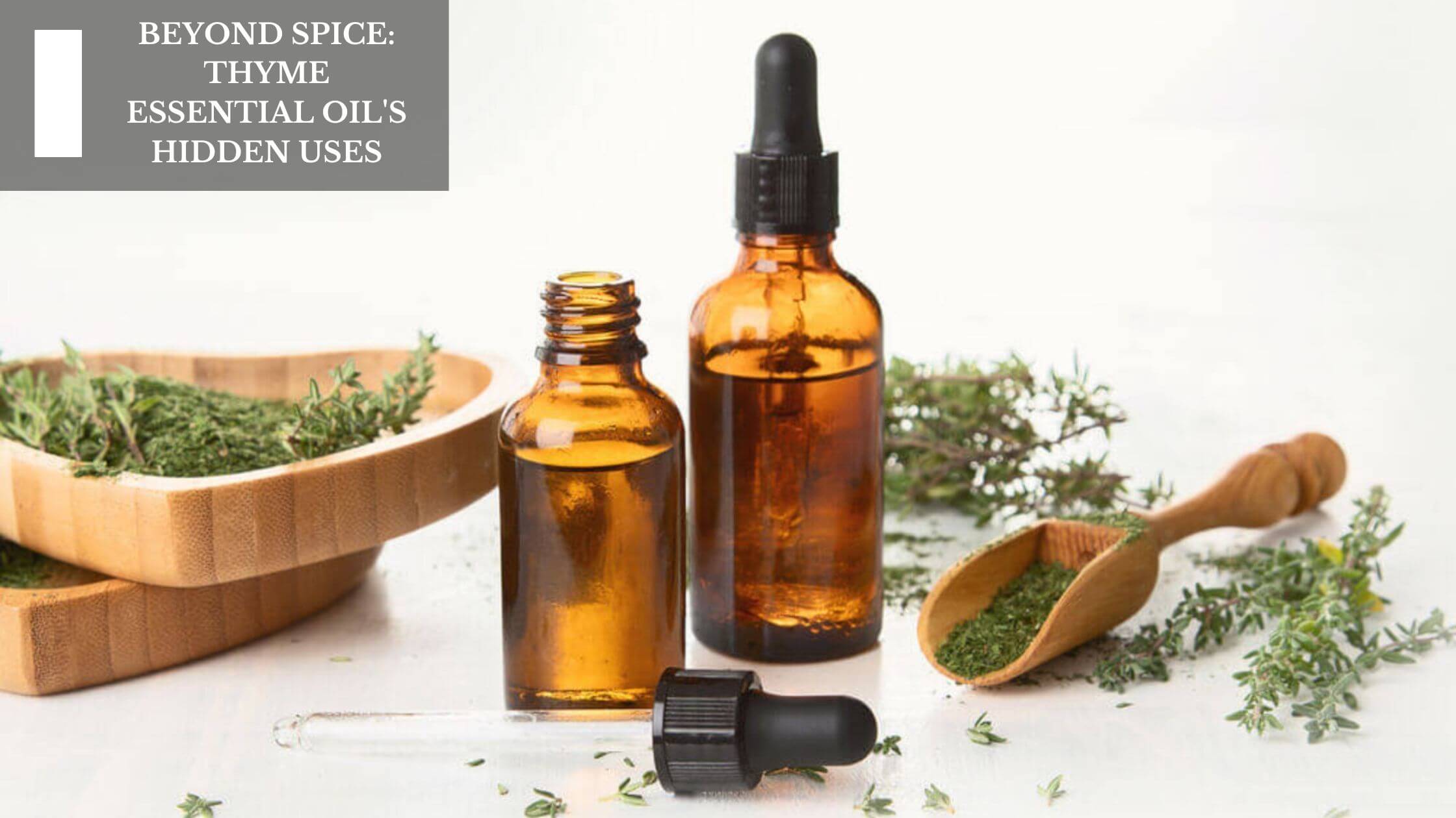 Beyond Spice Thyme Essential Oil's Hidden Uses Moksha Lifestyle Products