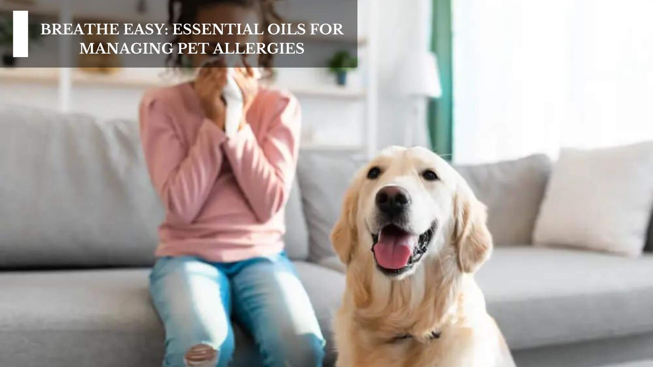 Essential oils to keep dogs off furniture sale