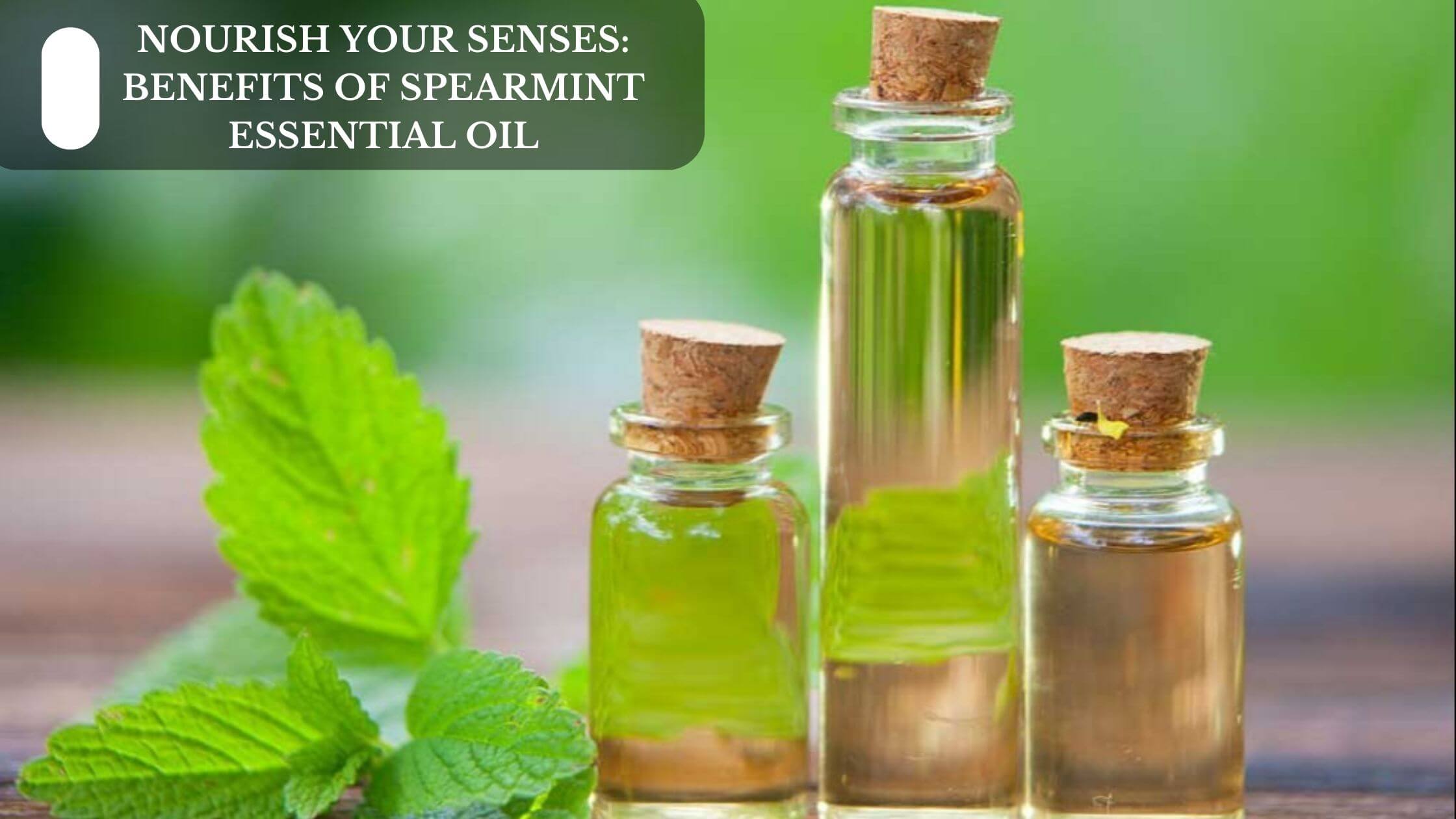 Describe the Several Benefits of Spearmint Oil