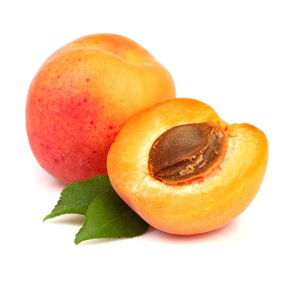 apricot seed oil