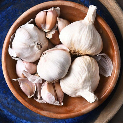 buy garlic hydrosol online
