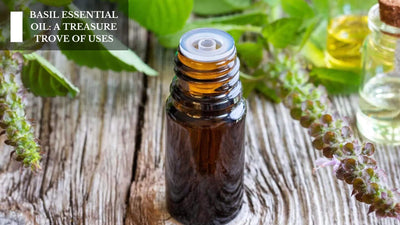 Basil Essential Oil: A Treasure Trove Of Uses