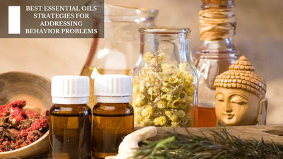 Best Essential Oils Strategies For Addressing Behavior Problems