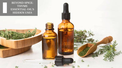 Beyond Spice: Thyme Essential Oil's Hidden Uses