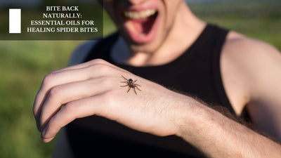 Bite Back Naturally: Essential Oils For Healing Spider Bites