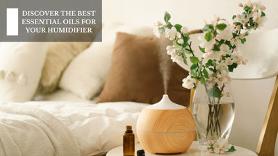 Discover The Best Essential Oils For Your Humidifier