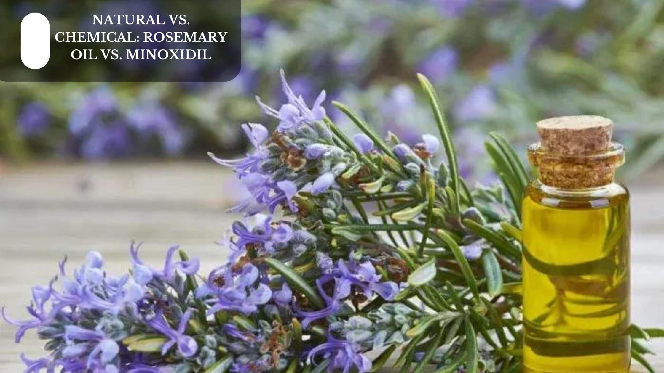 Natural vs. Chemical Rosemary Oil vs. Minoxidil Moksha Lifestyle