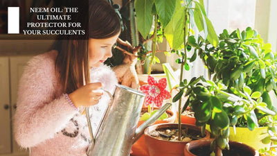Neem Oil: The Ultimate Protector For Your Succulents