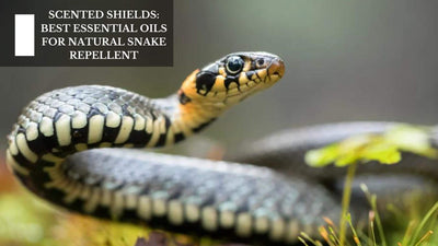 Scented Shields: Best Essential Oils For Natural Snake Repellent