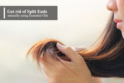 HOW TO GET RID OF SPLIT ENDS I DIY Recipes