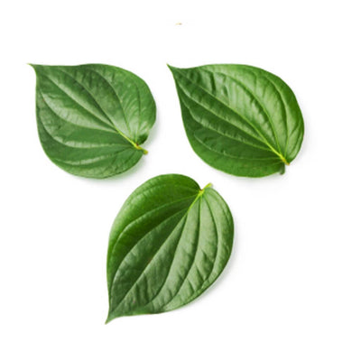 order betel leaf oil online