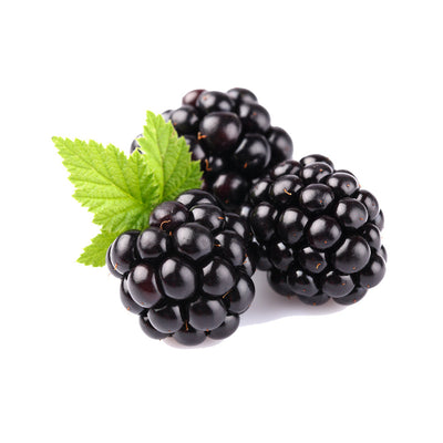 buy blackberry seed oil online
