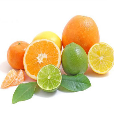 purchase citrus mist fragrance oil online