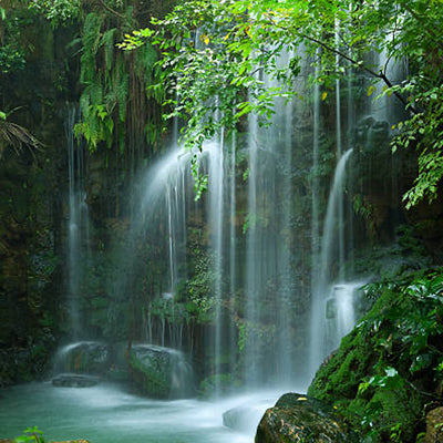 buy jungle waterfall fragrance oil online