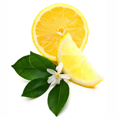 buy  lemon blossom fragrance oil online