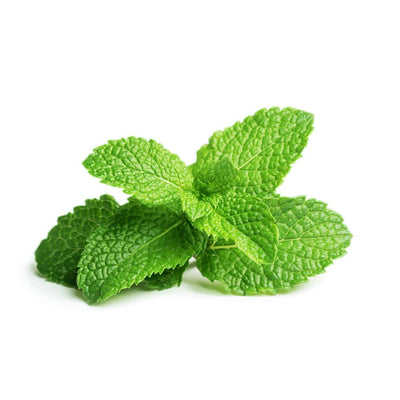 buy pure organic peppermint oil online  at best prices