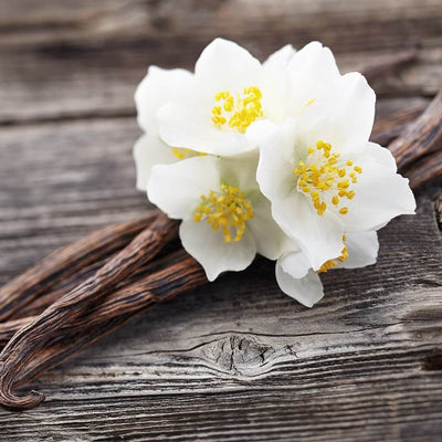vanilla-oak-bb-type-fragrance-oil-premium
